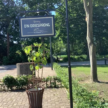 Bed & Breakfast D'n Driesprong
