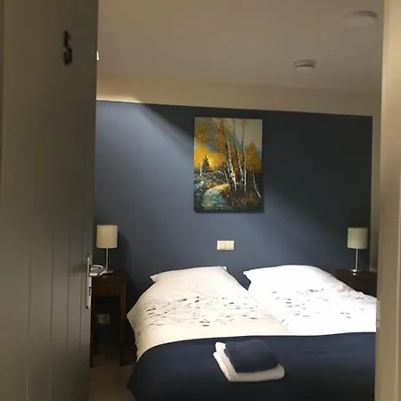 Bed & Breakfast D'n Driesprong