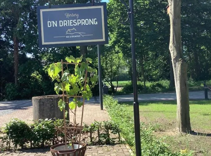 Bed and Breakfast D'n Driesprong