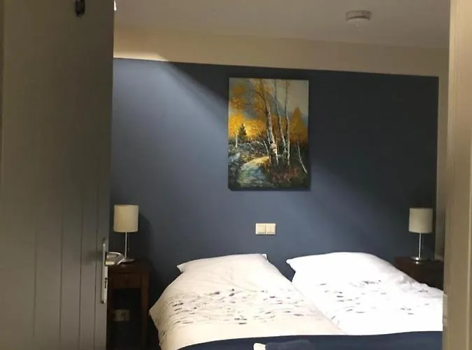 Bed and Breakfast D'n Driesprong